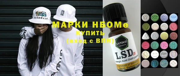 индика Новозыбков