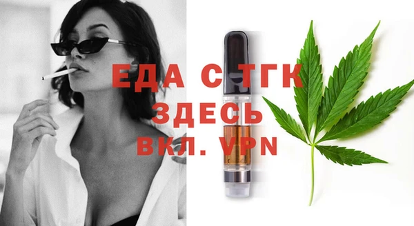 индика Новозыбков