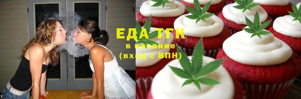 индика Новозыбков