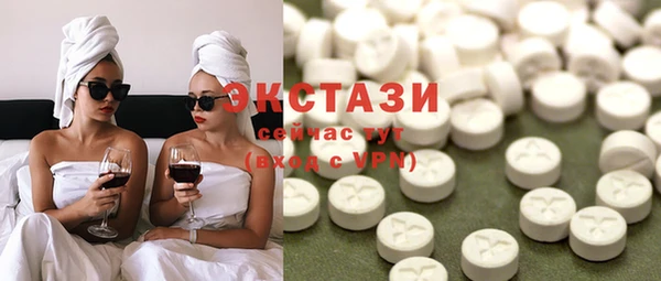 индика Новозыбков