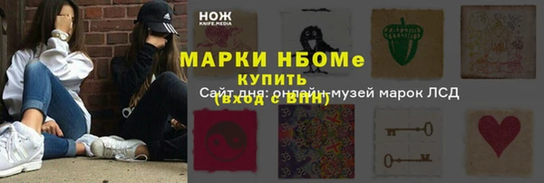 индика Новозыбков