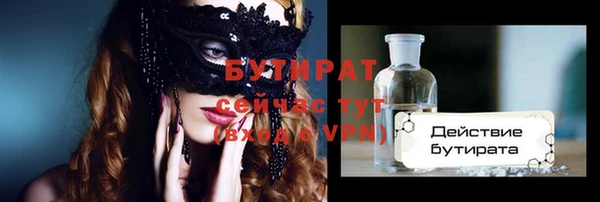 индика Новозыбков