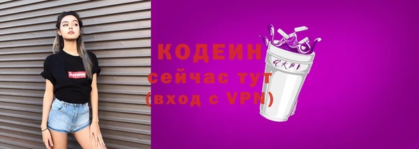 индика Новозыбков