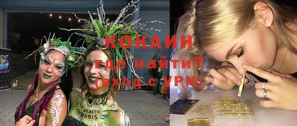 индика Новозыбков
