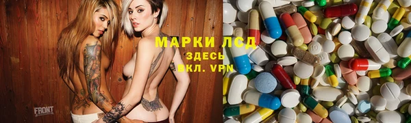 индика Новозыбков