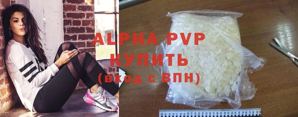 индика Новозыбков