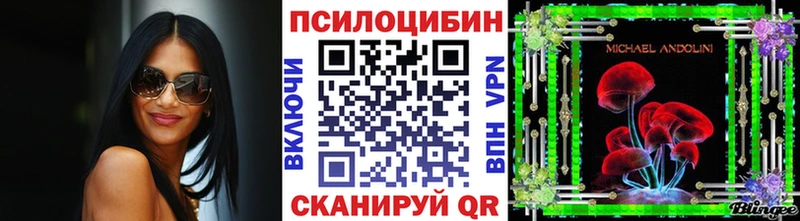 Псилоцибиновые грибы Cubensis  Осташков 
