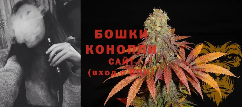 Бошки Шишки Bruce Banner  кракен ССЫЛКА  Осташков 